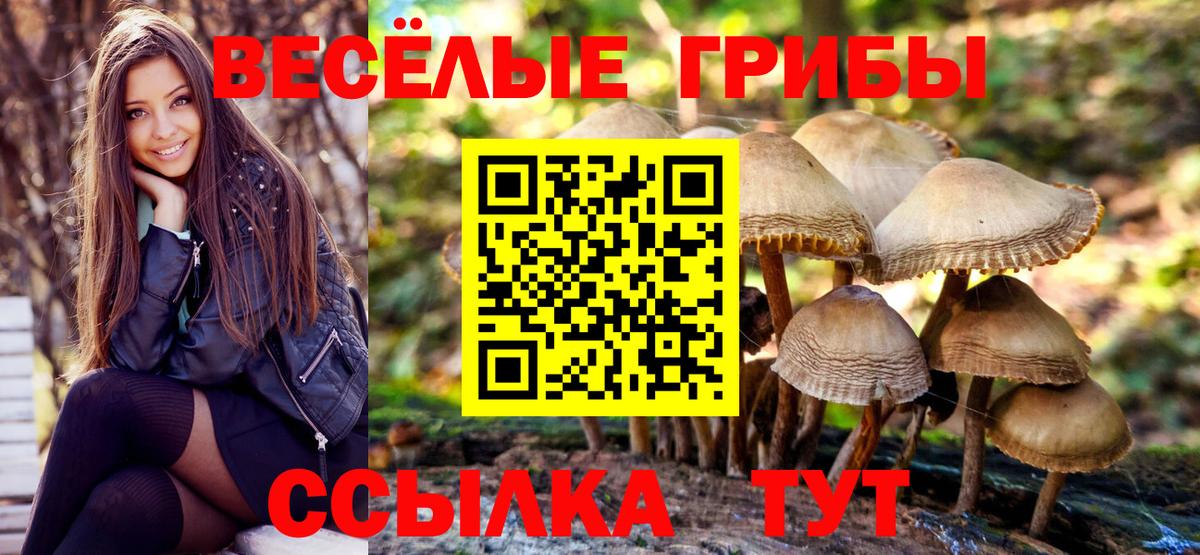 Псилоцибиновые грибы GOLDEN TEACHER Рубцовск